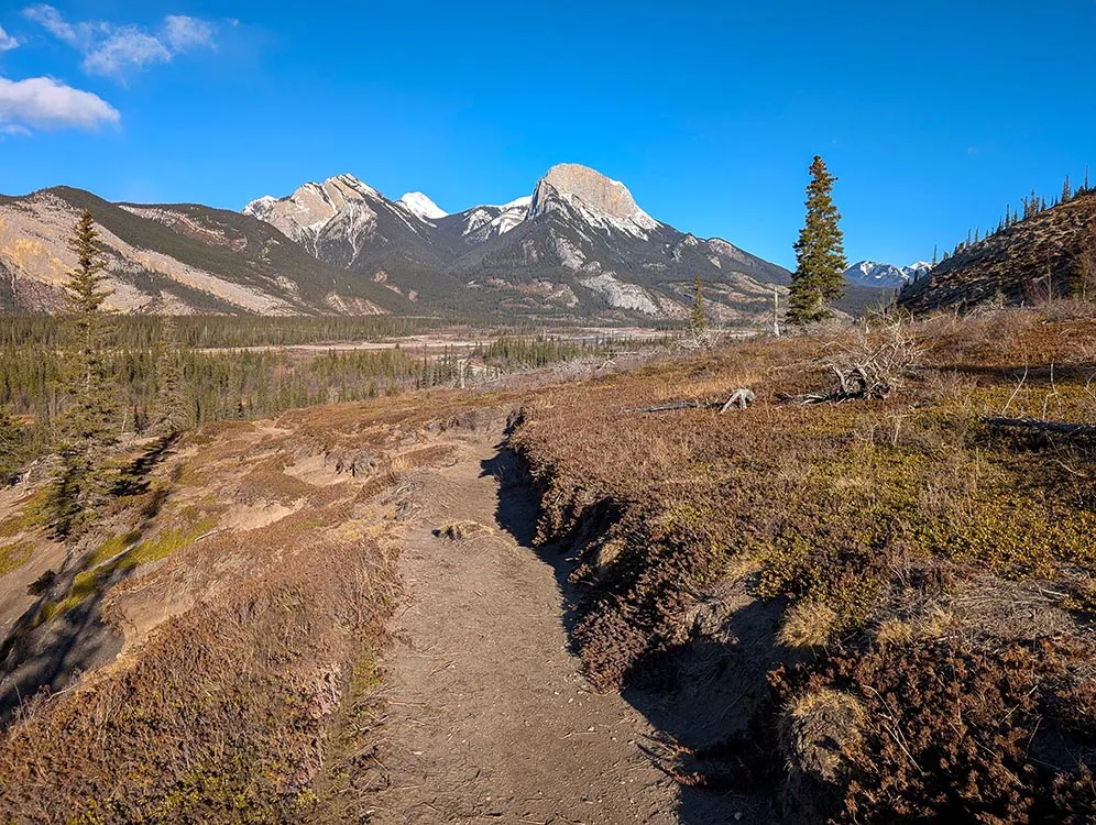 jasp-trail-1785441694590.webp